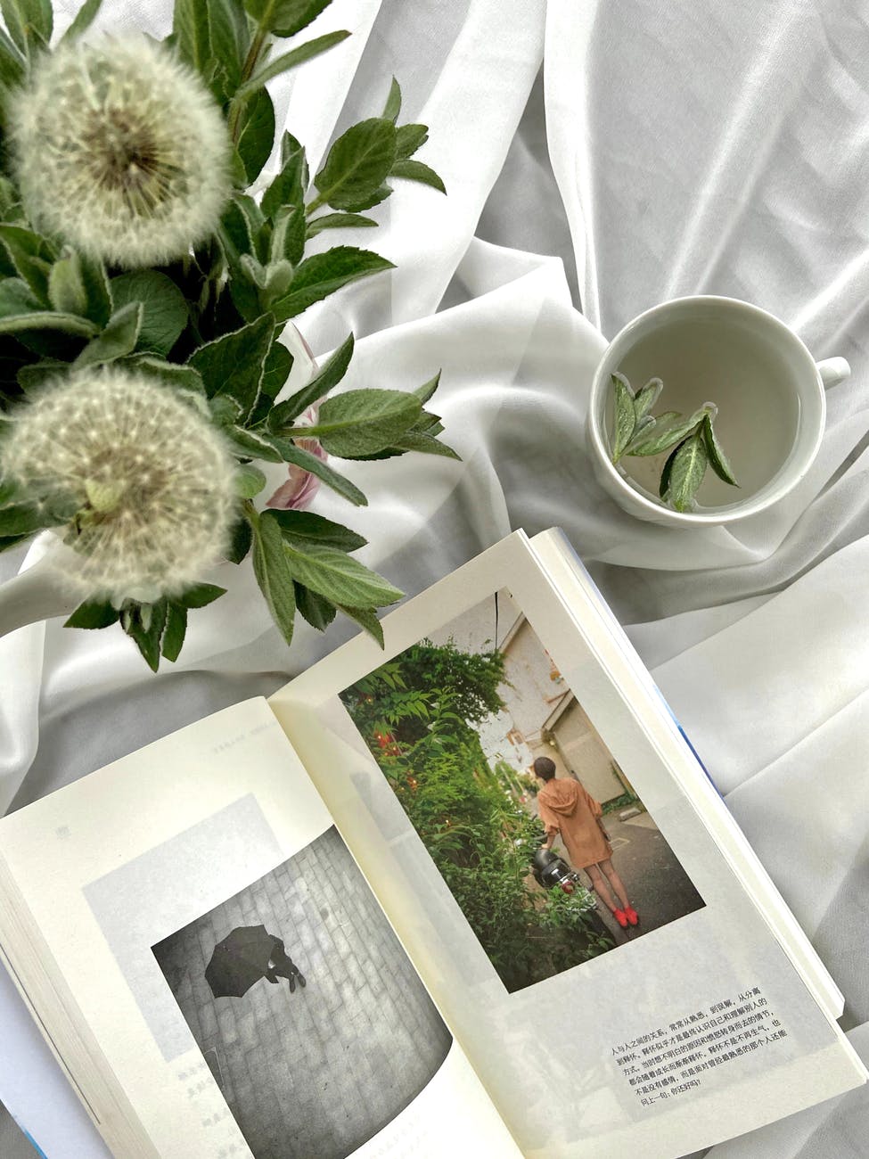 opened book on white cloth near dandelion flowers