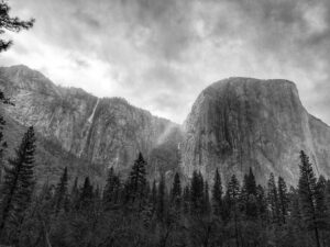 grayscale photo of cliff and pine trees